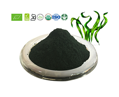 Spirulina Powder