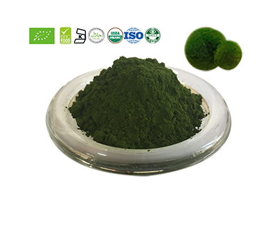 Chlorella Powder