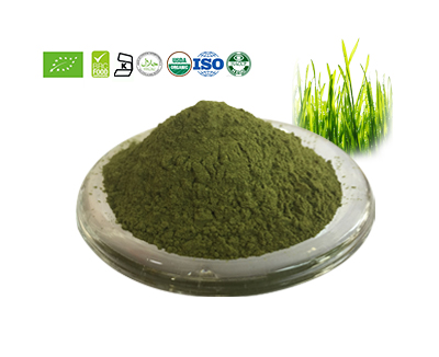 Wheat Grass Powder