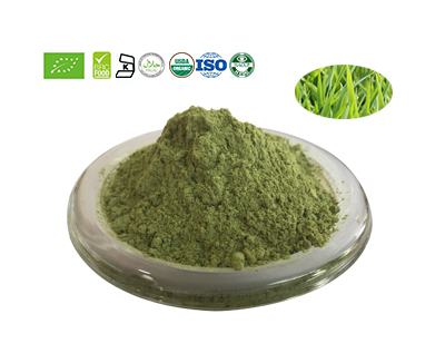 Oat Grass  Powder