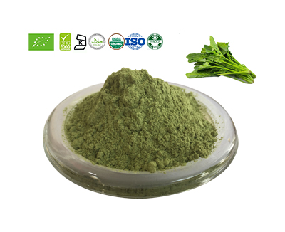 Spinach powder