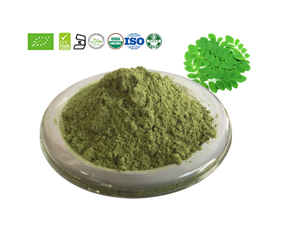 Moringa Powder