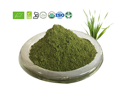 Barley Grass Juice Powder