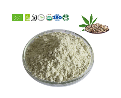 Hemp Protein Powder