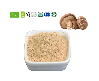 Shiitake Mushroom Powder