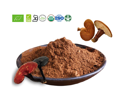 Reishi Mushroom Powder