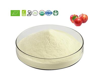 Apple juice powder