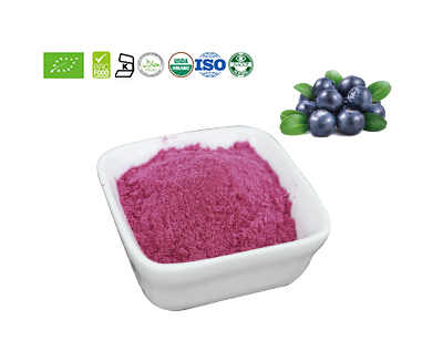 Blueberry Powder