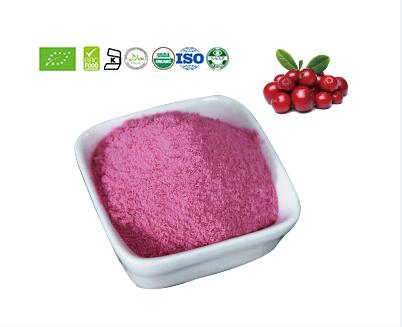 Cranberry Powder