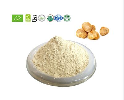 Lion‘s Mane Mushroom Powder