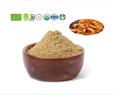 Cordyceps Militaris Powder