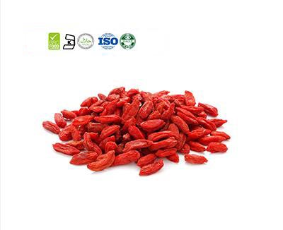 Goji Berry