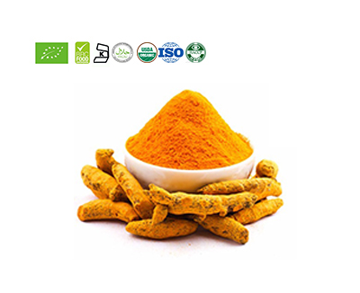 Turmeric Extract